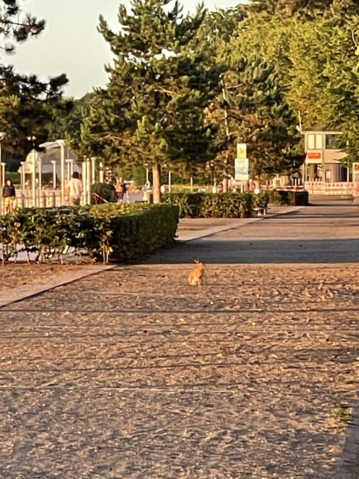 C951B76E-E08C-4A40-8A8F-BE27AA532F9B