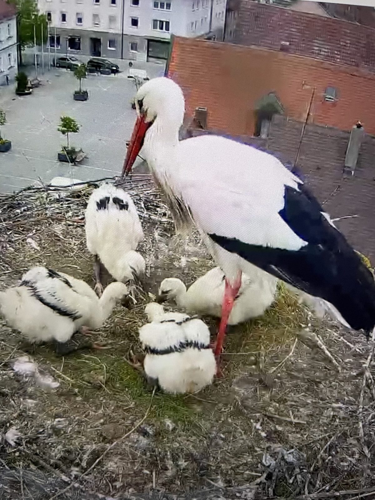 CAEFB252-30B6-434F-A2B9-87FF8E918F3A