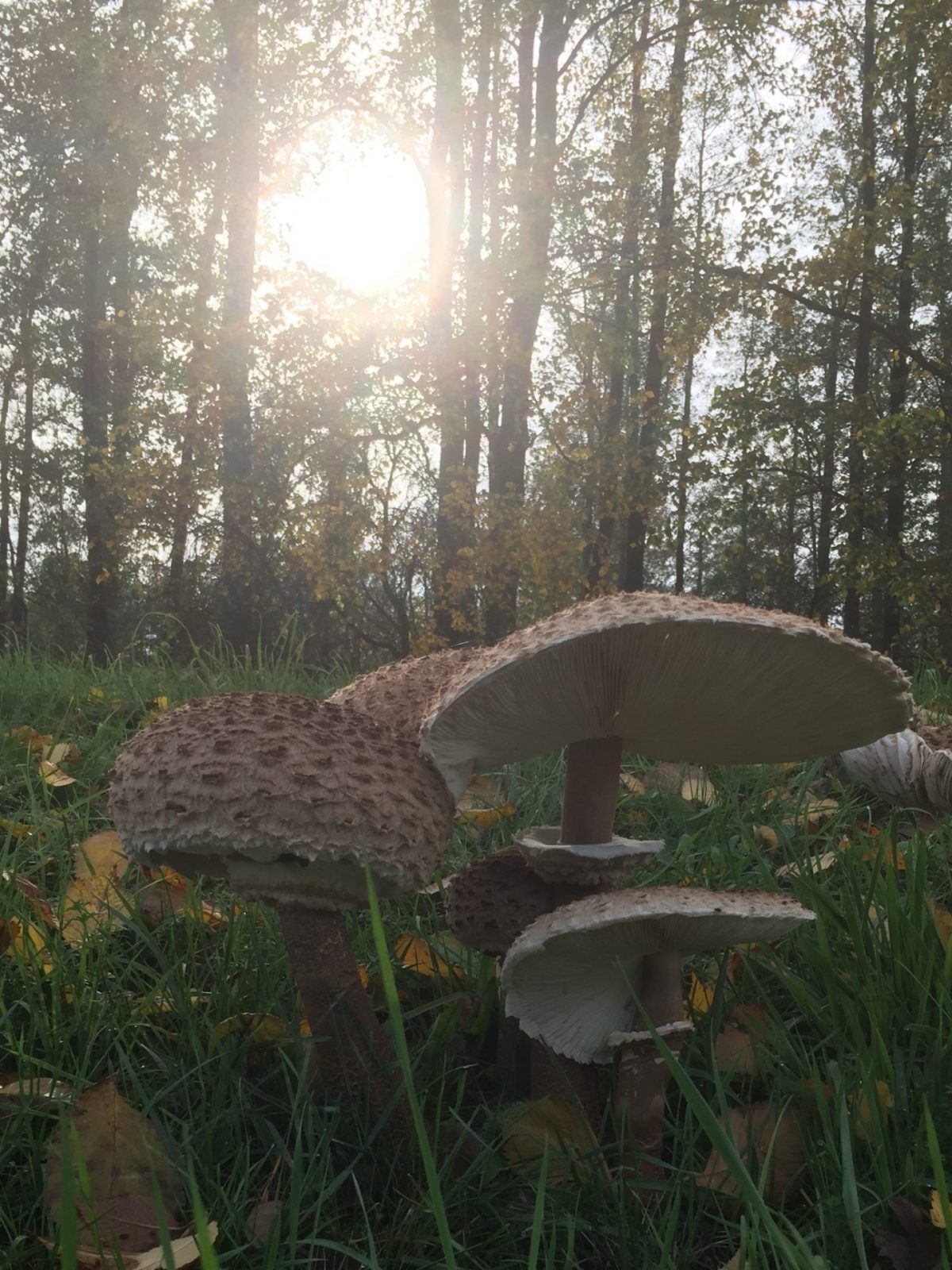 CBE6E05C-073F-4FE3-ABD5-59172CD0386C