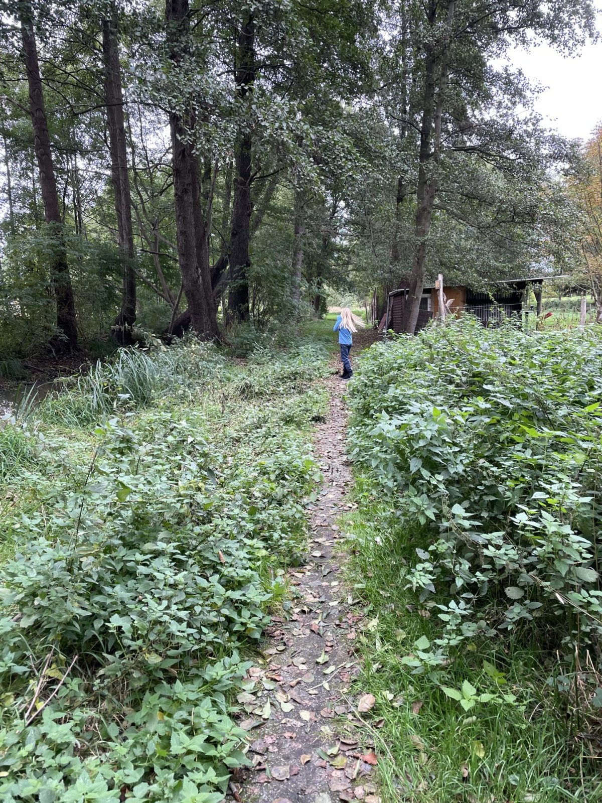 CBFF3D31-0712-4FEF-94DE-B0167F8A0A8A