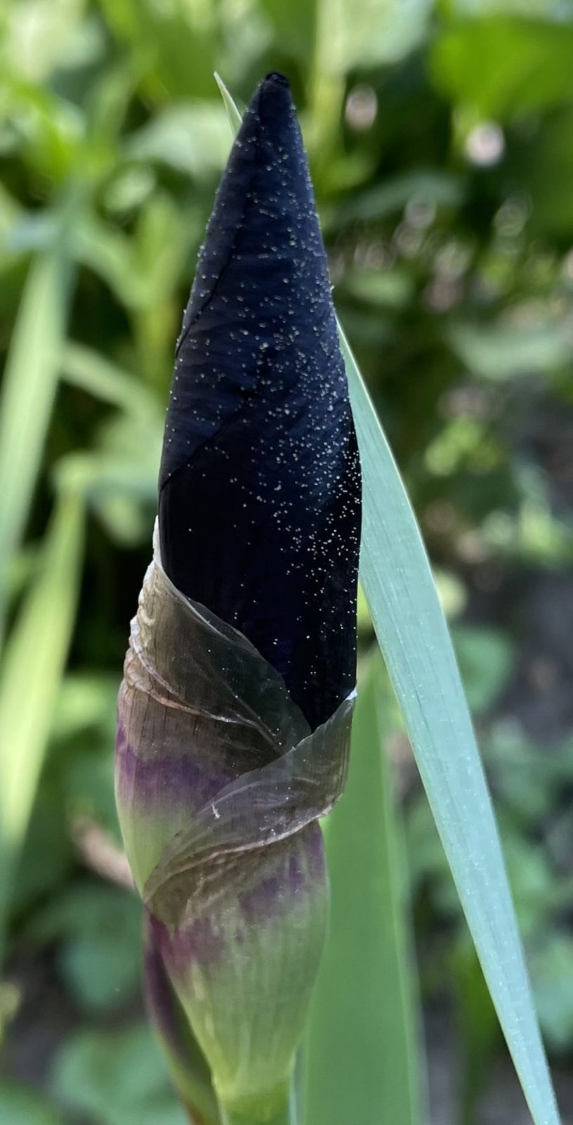 CC6A0882-FE53-470F-BE5E-1E69B47BAE4C