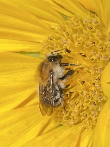 CC813563-AFF4-4984-AED2-867F64ECCB5C