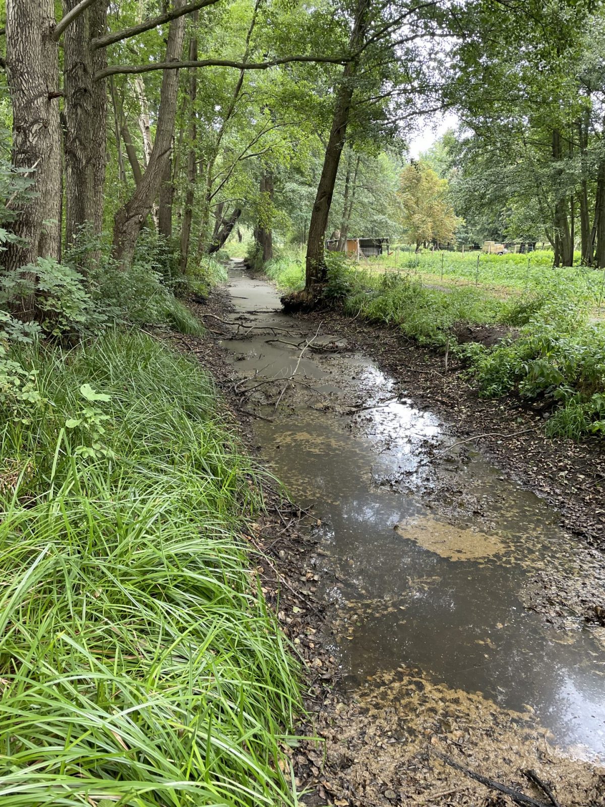 CD454D06-480F-47A3-8F95-CF582A1A9DA4