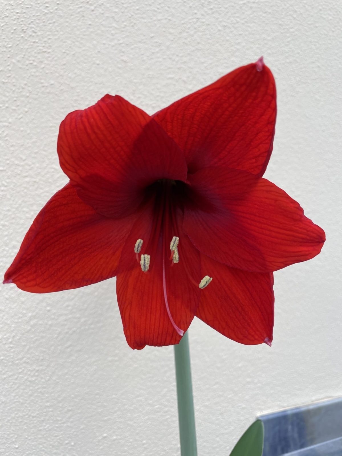 CD974930-EB17-4C77-BECC-26696B63B6A8