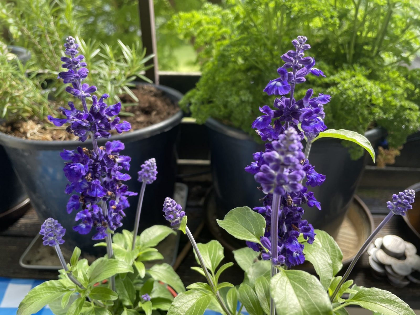 CE472FD1-E4DC-4D09-BFE4-33BC651749C8