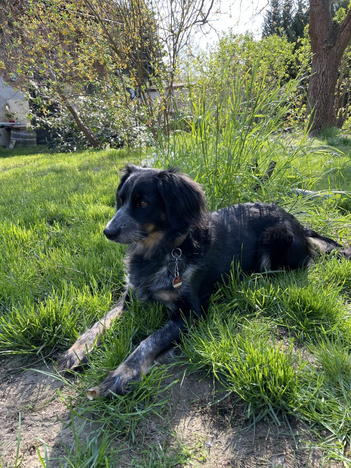 CE774CB4-2E80-427C-9931-C6E90091FD16