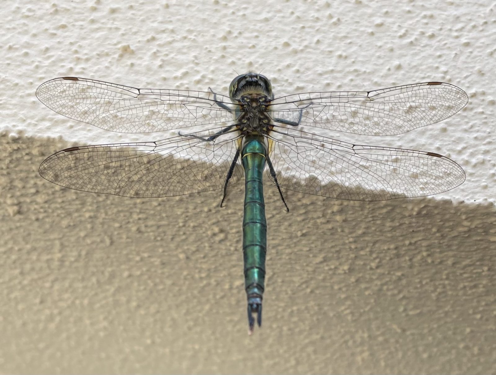 CF0013E0-EF8F-4F96-9A11-2E11FC700E88