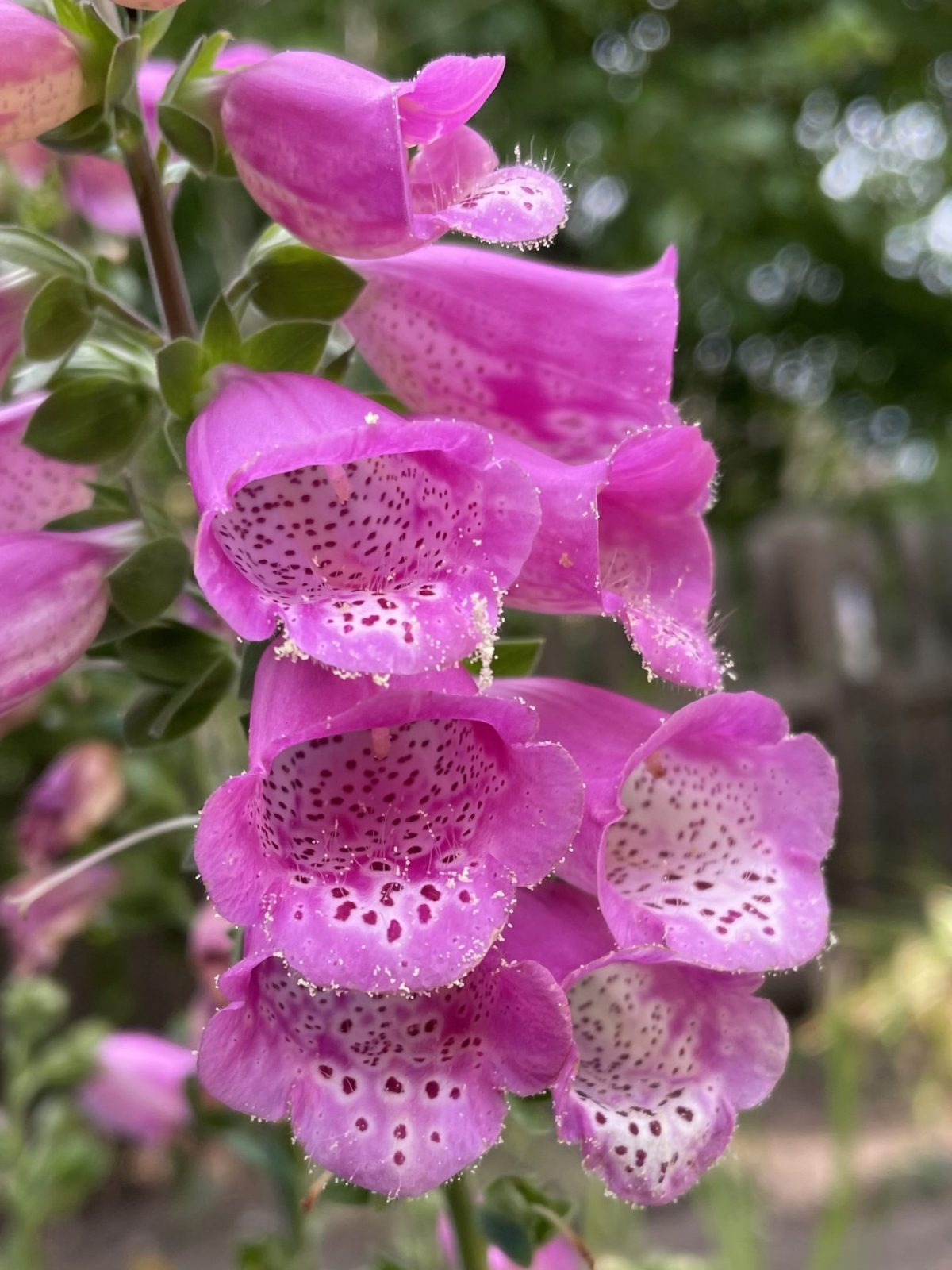 CF5402AE-2CEF-48B2-8BE9-68364115F748