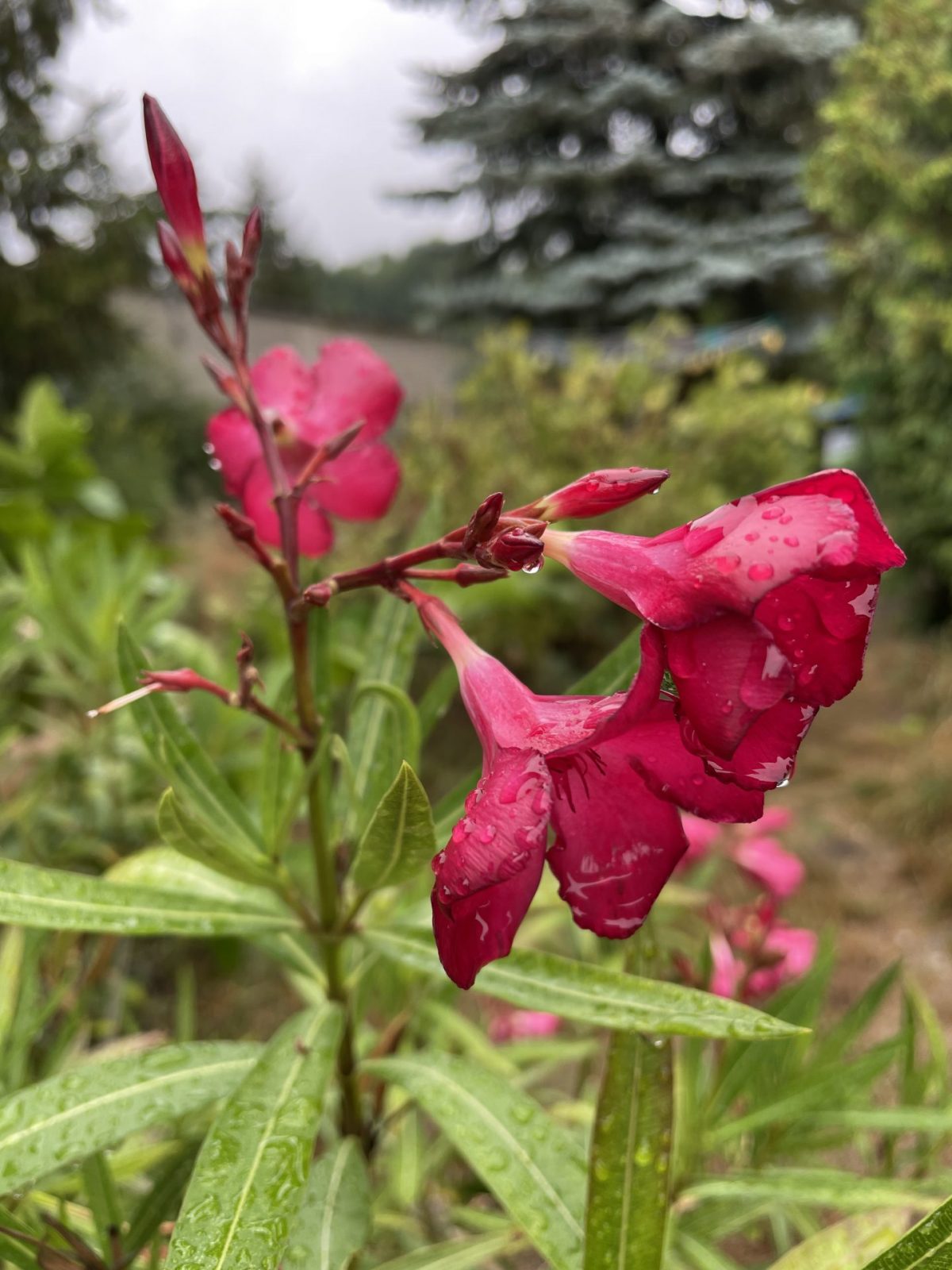 CFB2EE38-C473-4395-98F4-72E35B17055C