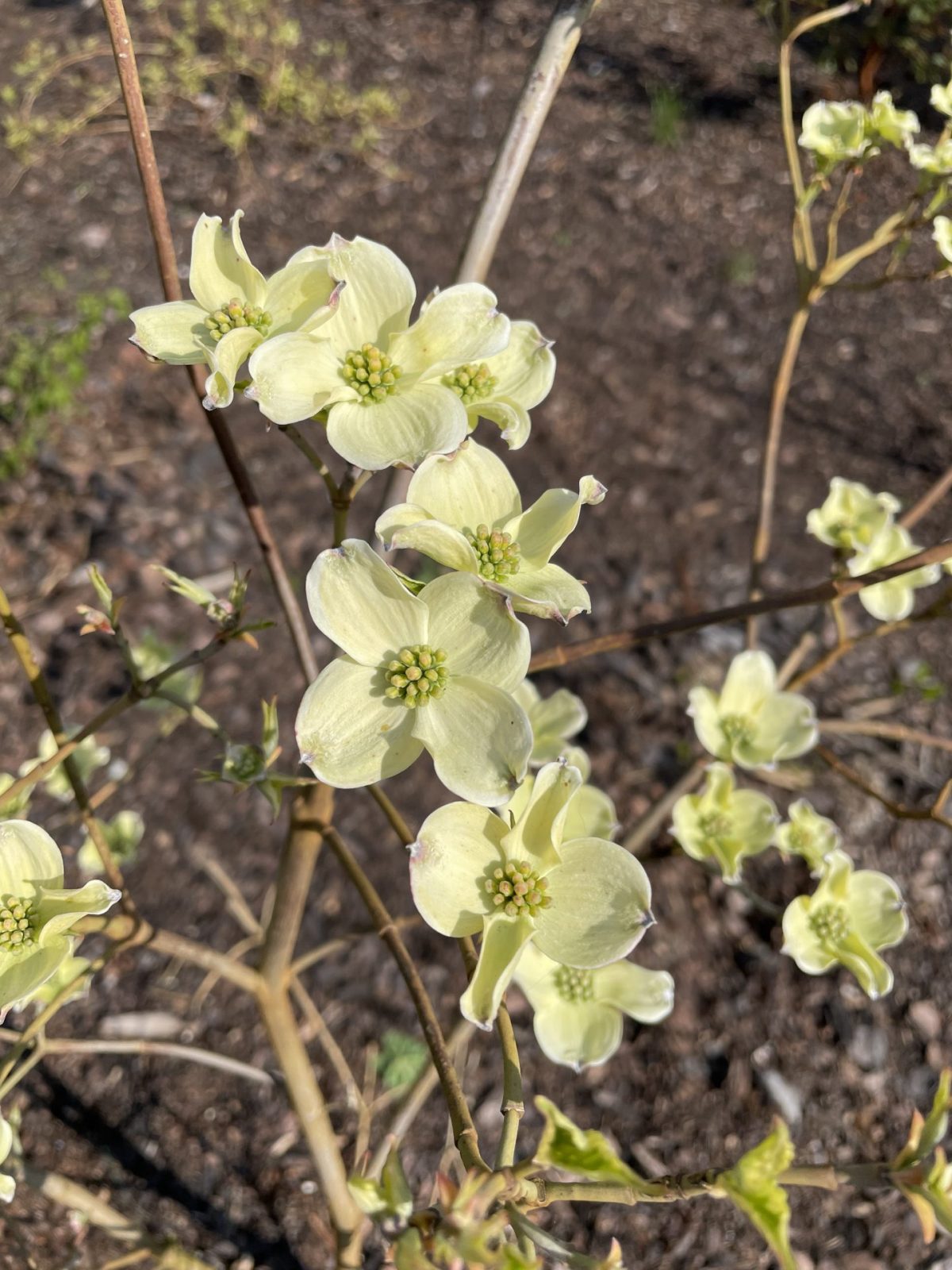 CFF10263-E5F3-42C5-88F1-A0DF5E731D21