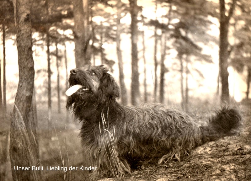 Unser Bulli, Liebling der Kinder.