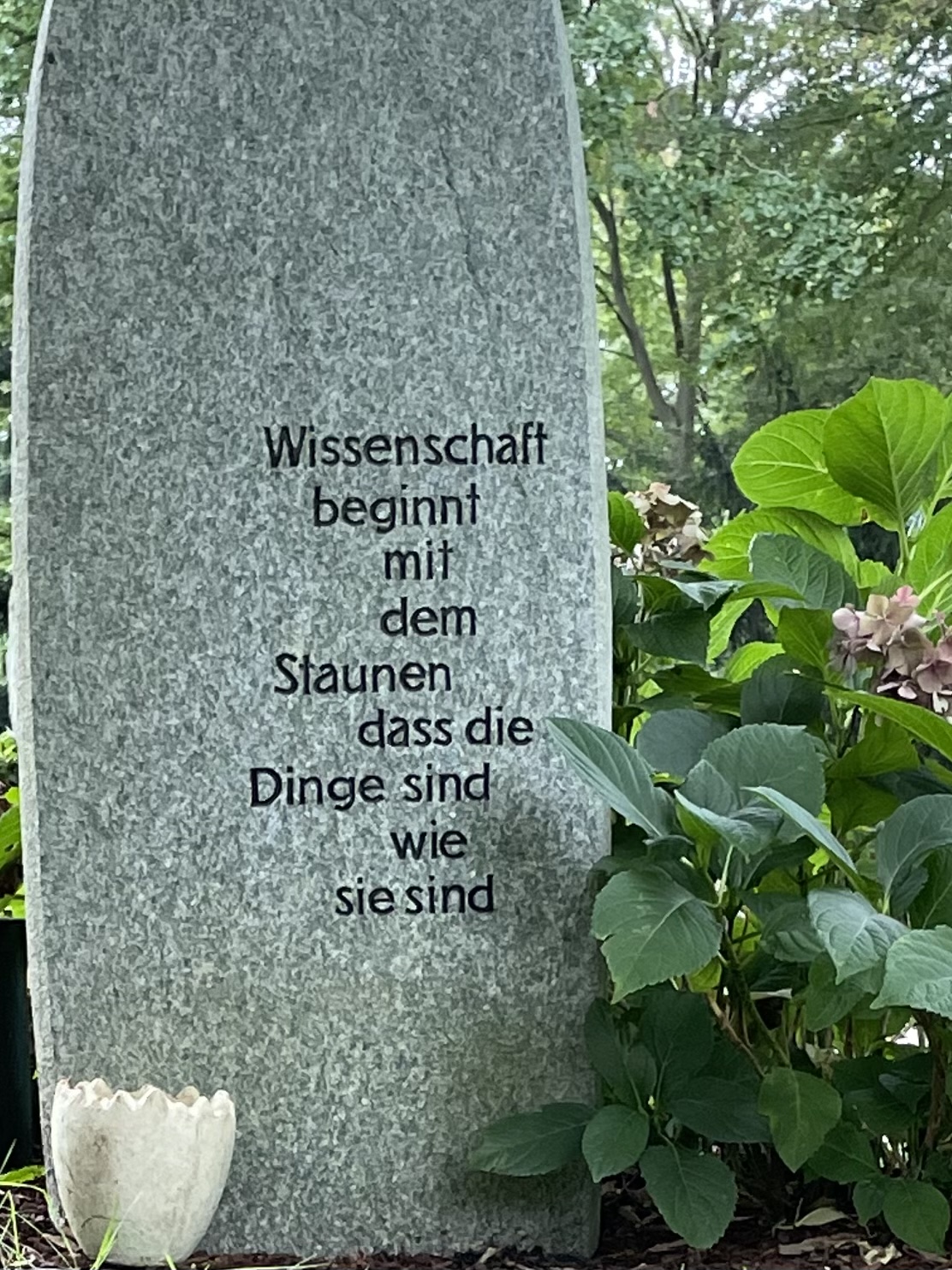 D02F6A1E-8911-4364-A803-58259C099565