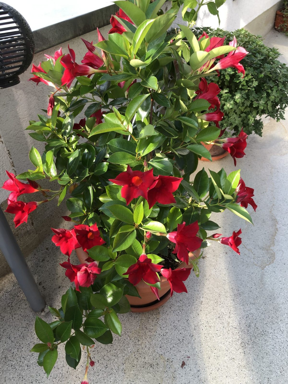 D088F501-934E-4479-93A1-E14AD2304E05