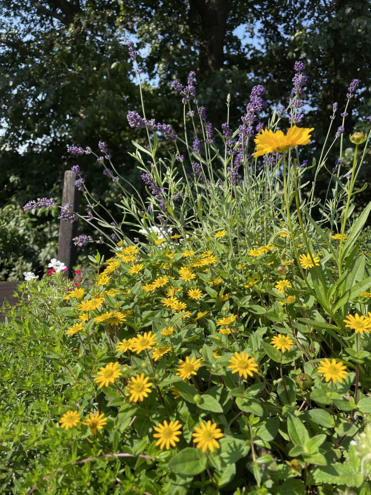 D09462F0-1A7D-49B1-A699-6AE38225A086