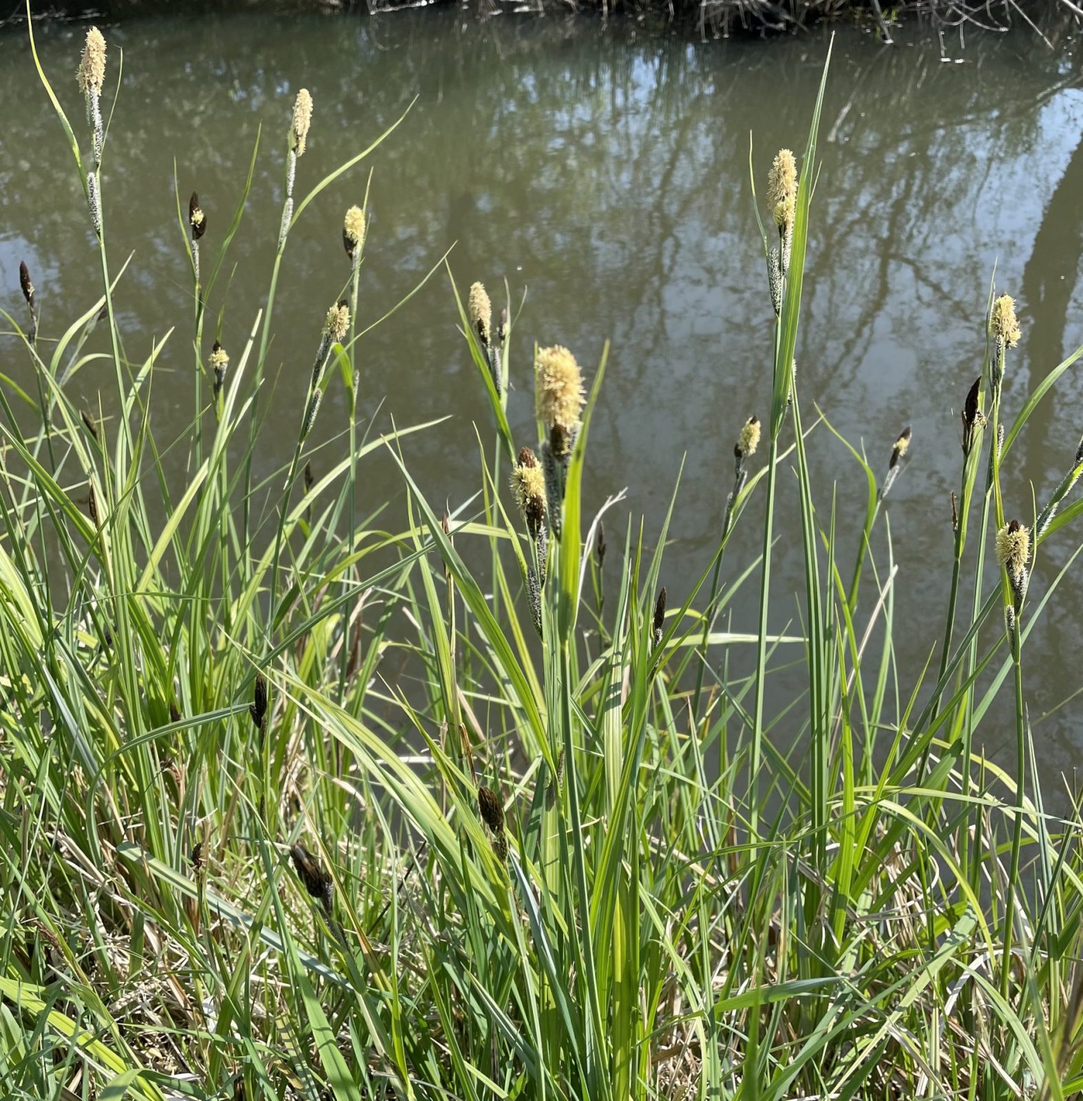 D13F03DE-8033-4382-8A02-191C2CB47A1C