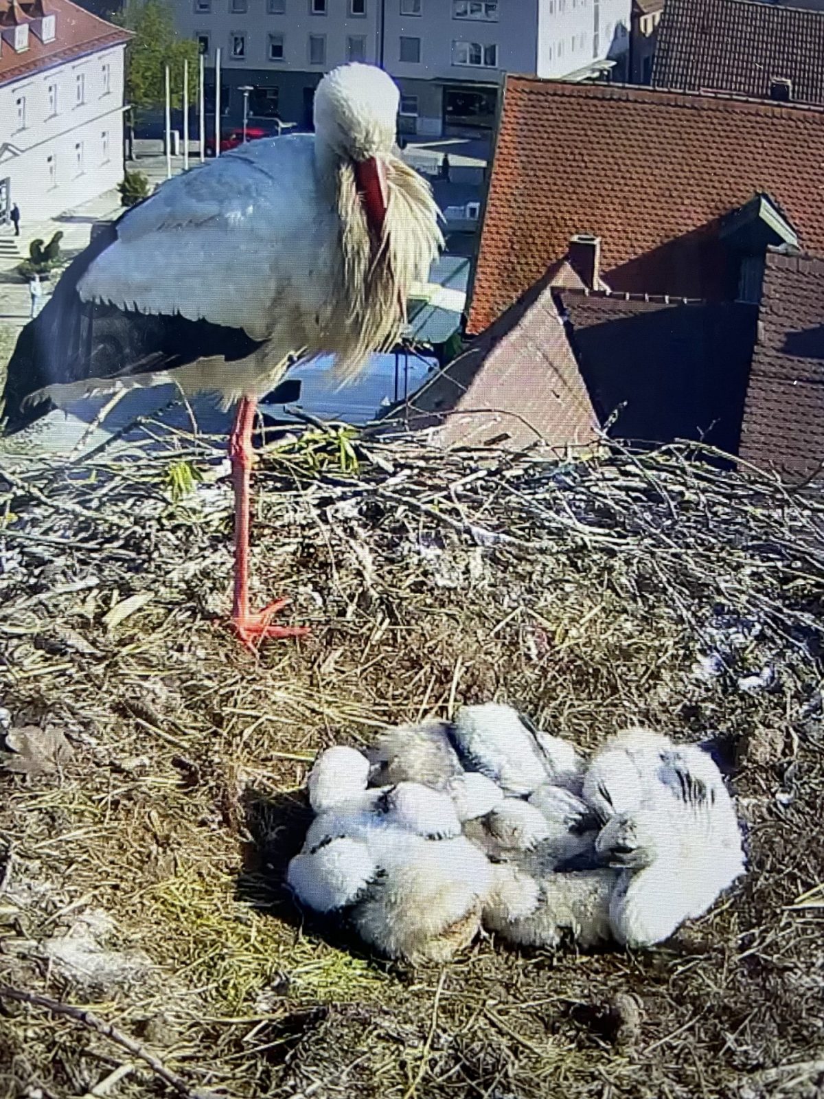 D1481D15-2F9F-487A-B3D4-4B13731DC359