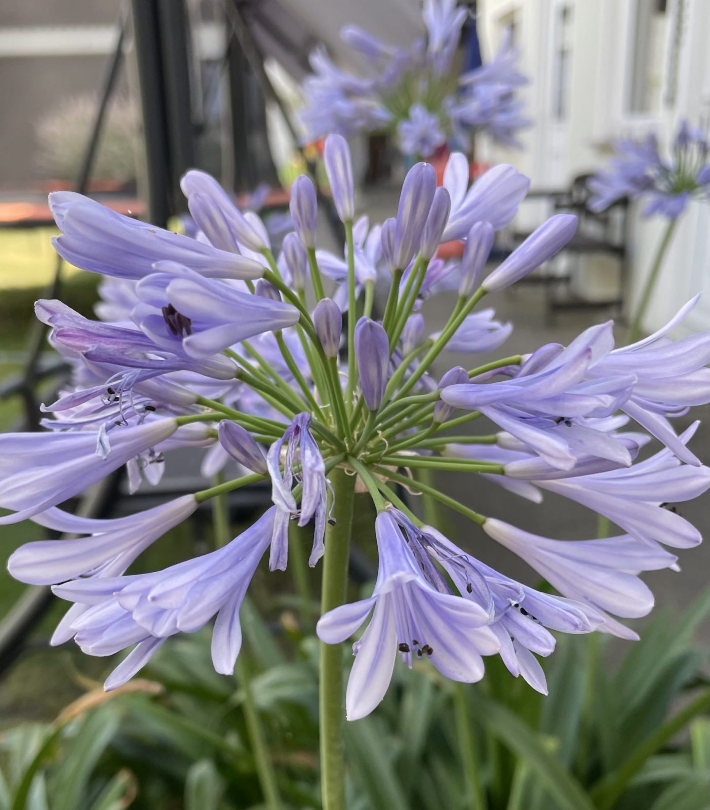 D18A3270-6B54-41C3-B493-509F86FD30CF