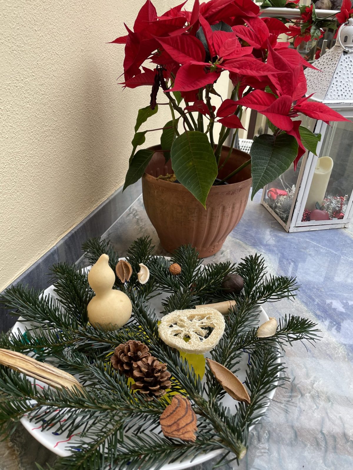 D1ACB366-D9CF-441D-AA6D-778D8304DB76