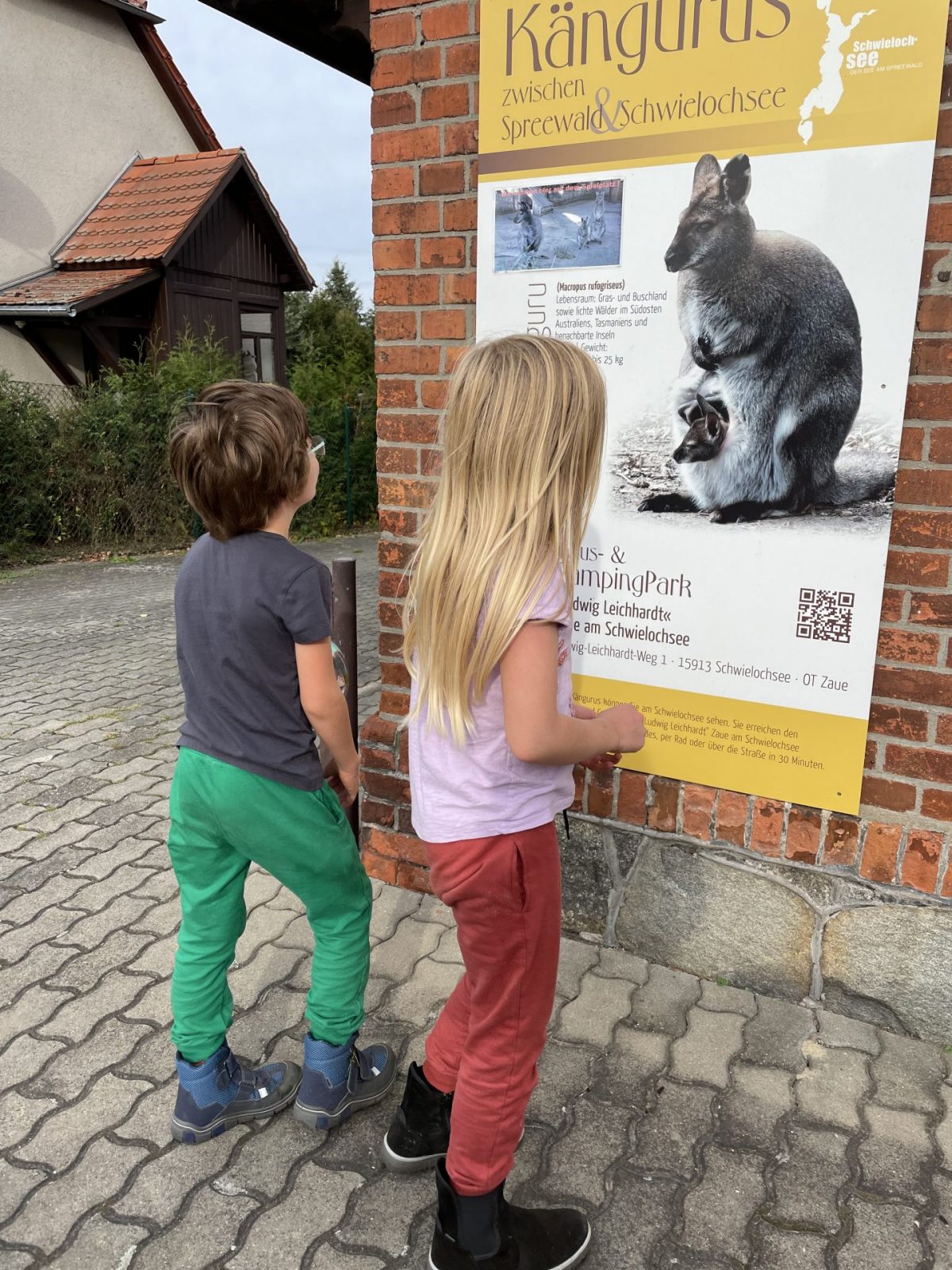 D1D57C94-1E2C-4ED4-B818-990DBA67D320