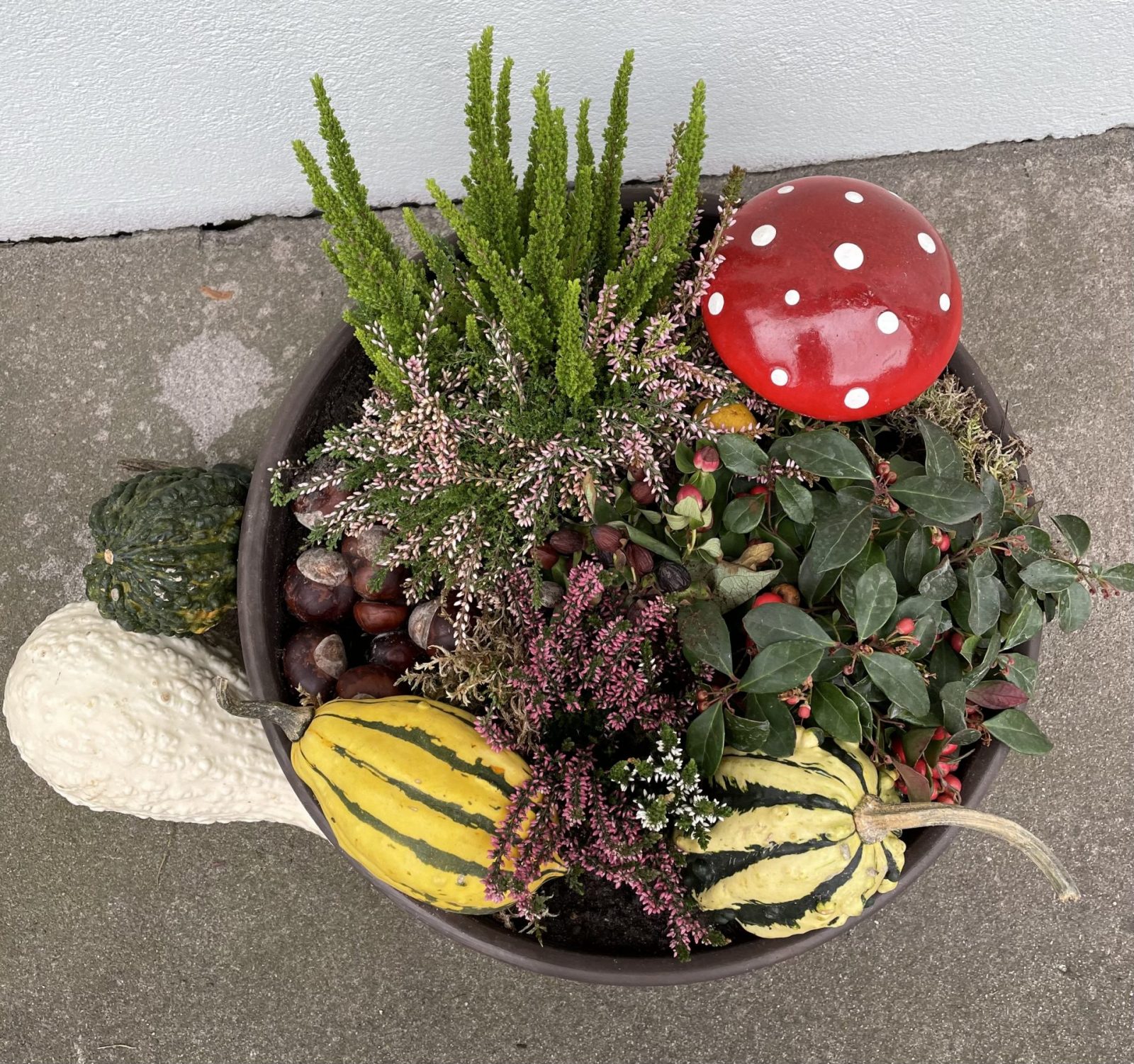 D24F82A4-5DD0-447F-AA98-7D5D986FBC0A