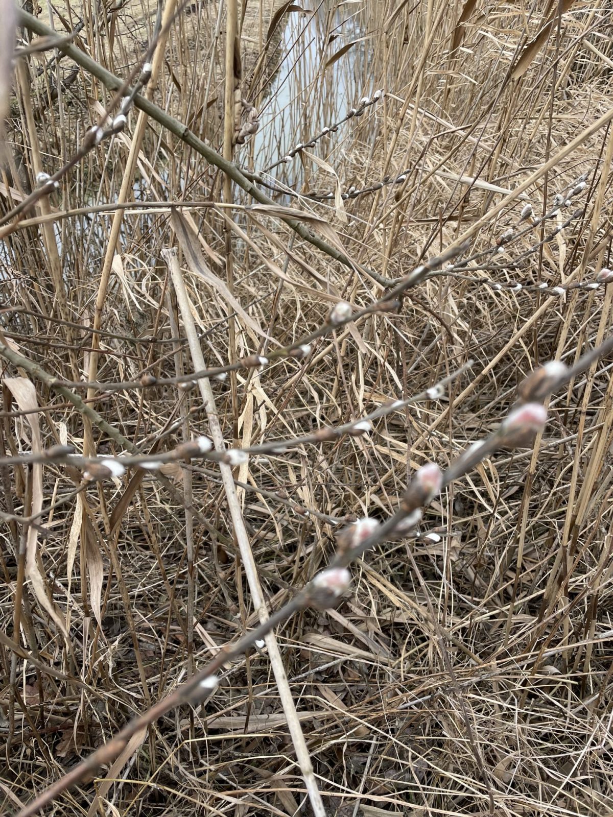 D2595BD6-D5AC-46CD-9532-66859315E0FB