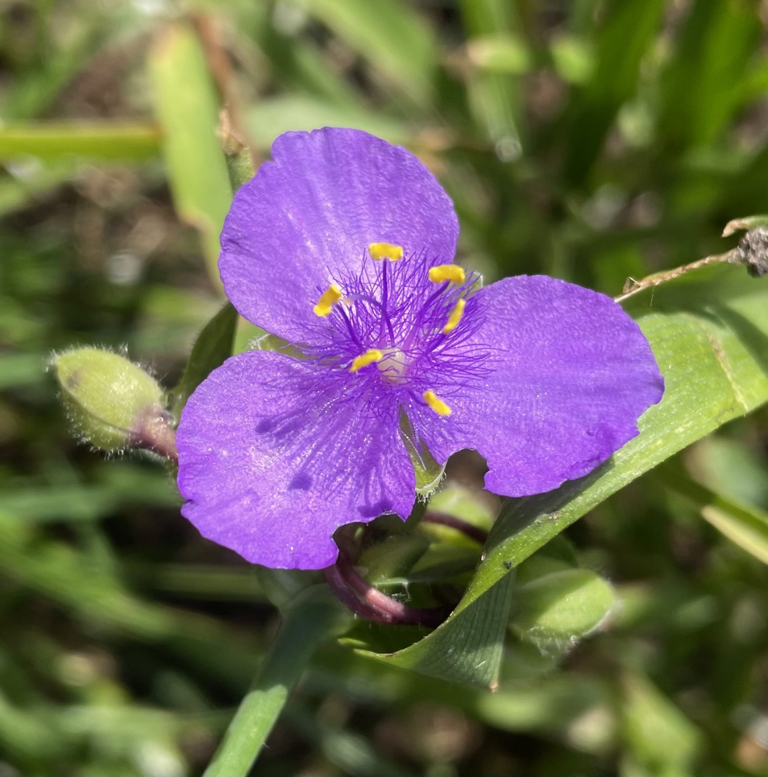 D263A8DB-F30D-40E1-81C6-48F0A6AD77A6