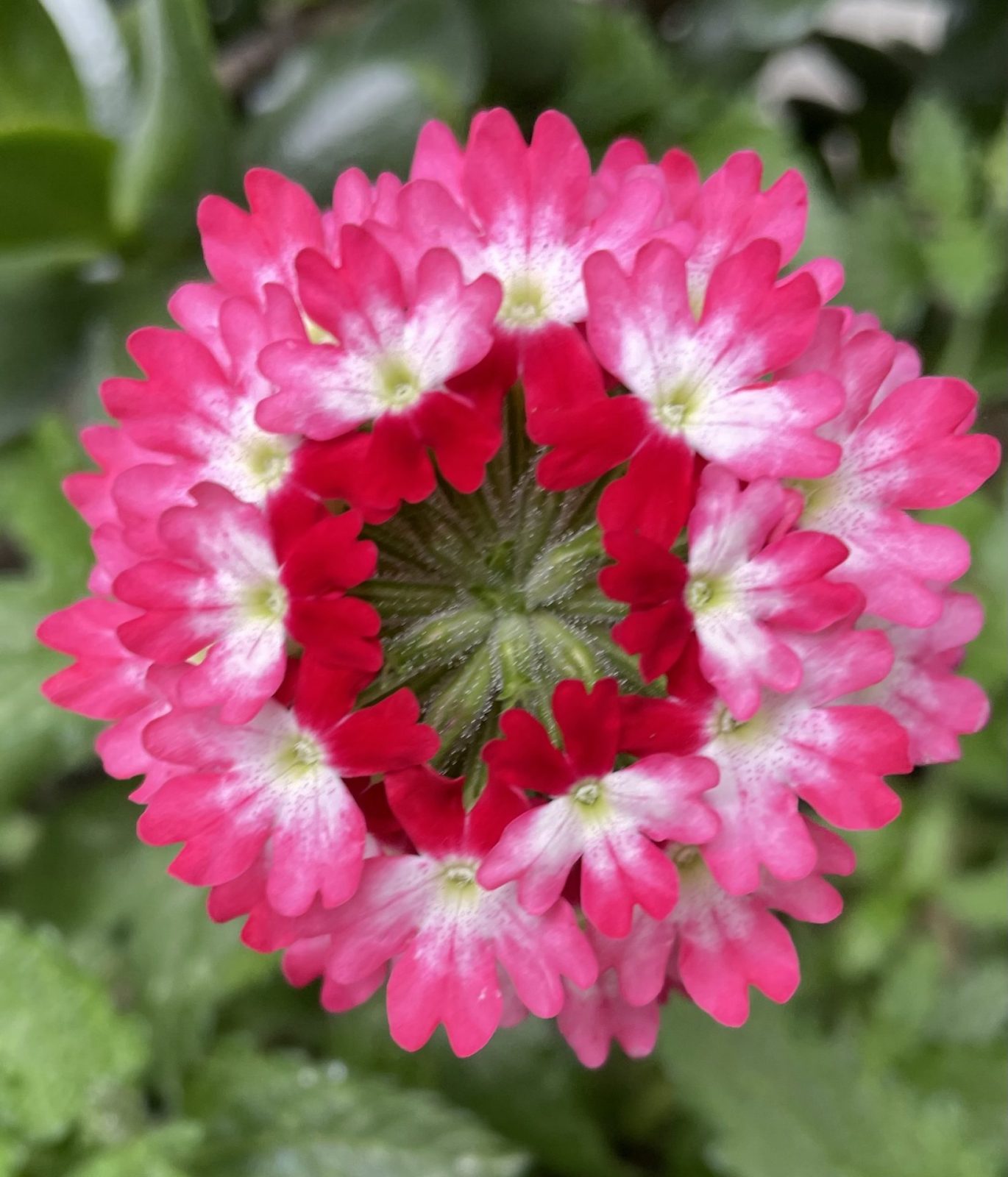 D2753A1A-198E-46D0-B66B-4DCEAC1242D5