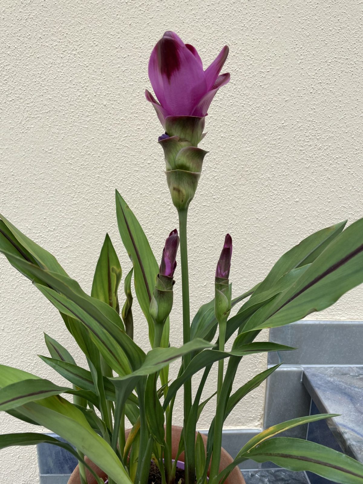 D287F5EE-61CB-45B2-8A30-4D75A4707EC9