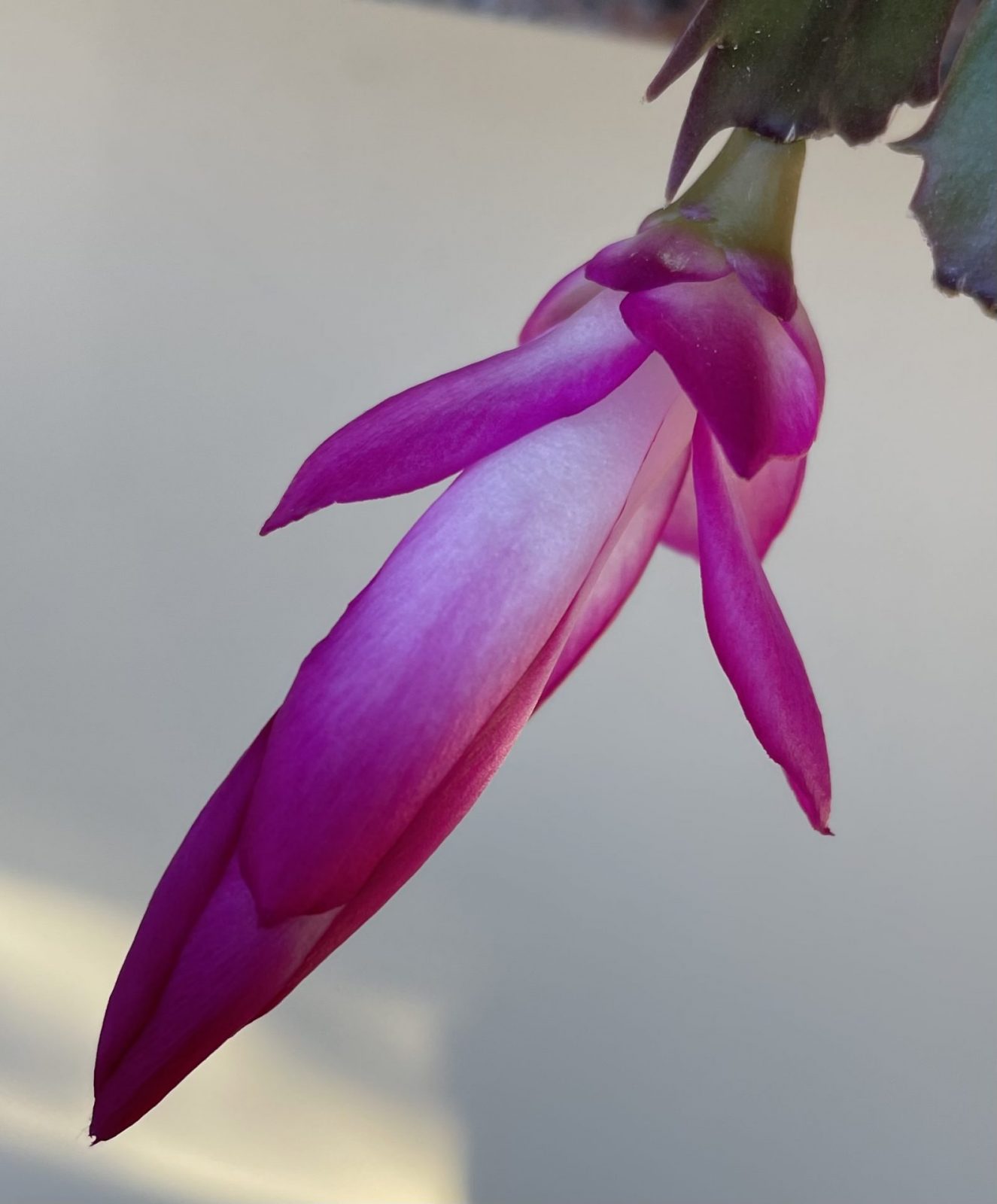 D2955E8D-1D38-458A-AFDA-17451FA1EEA5