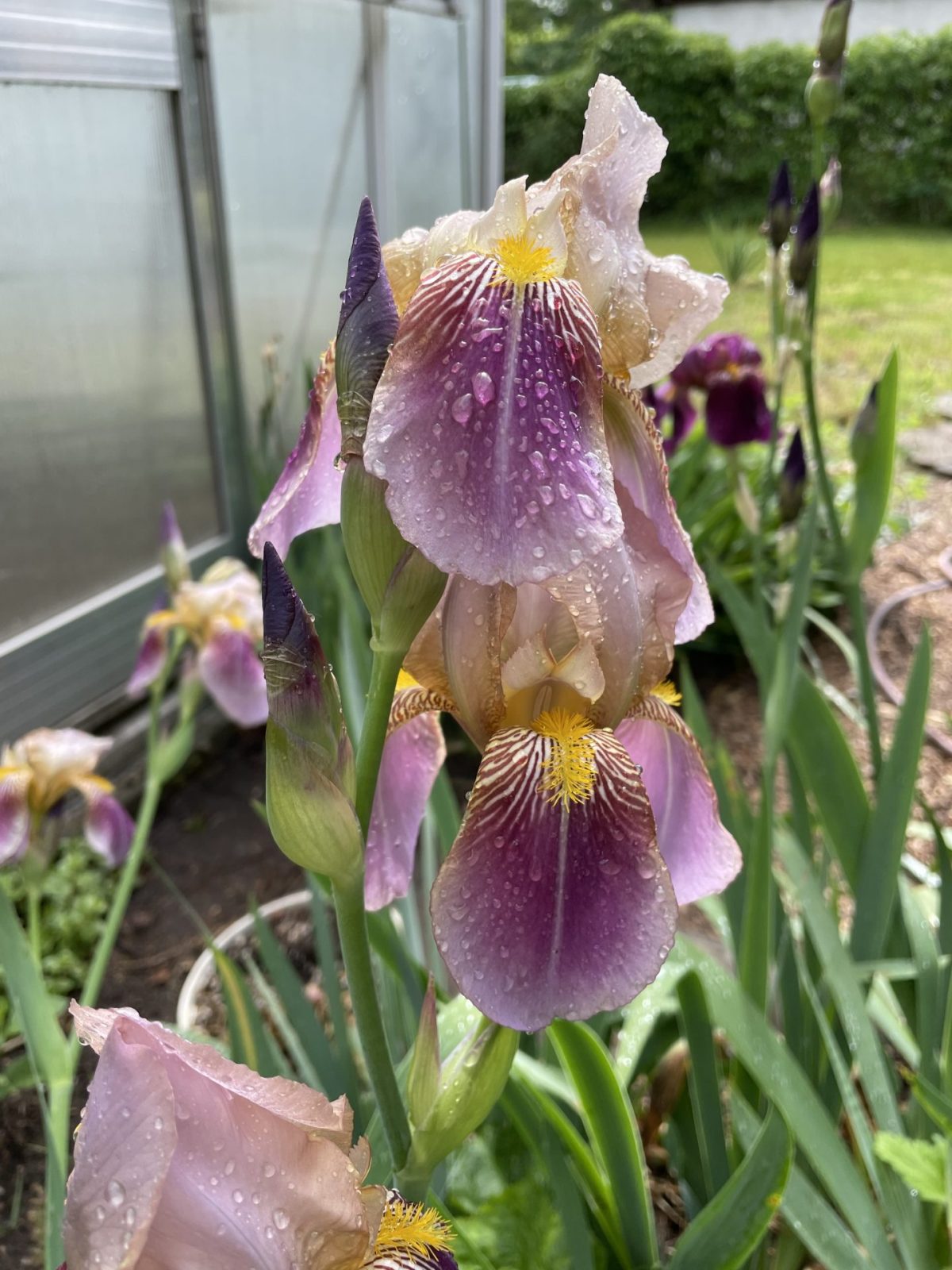 D29B28D5-80F6-49C6-9203-66626BA43A9F