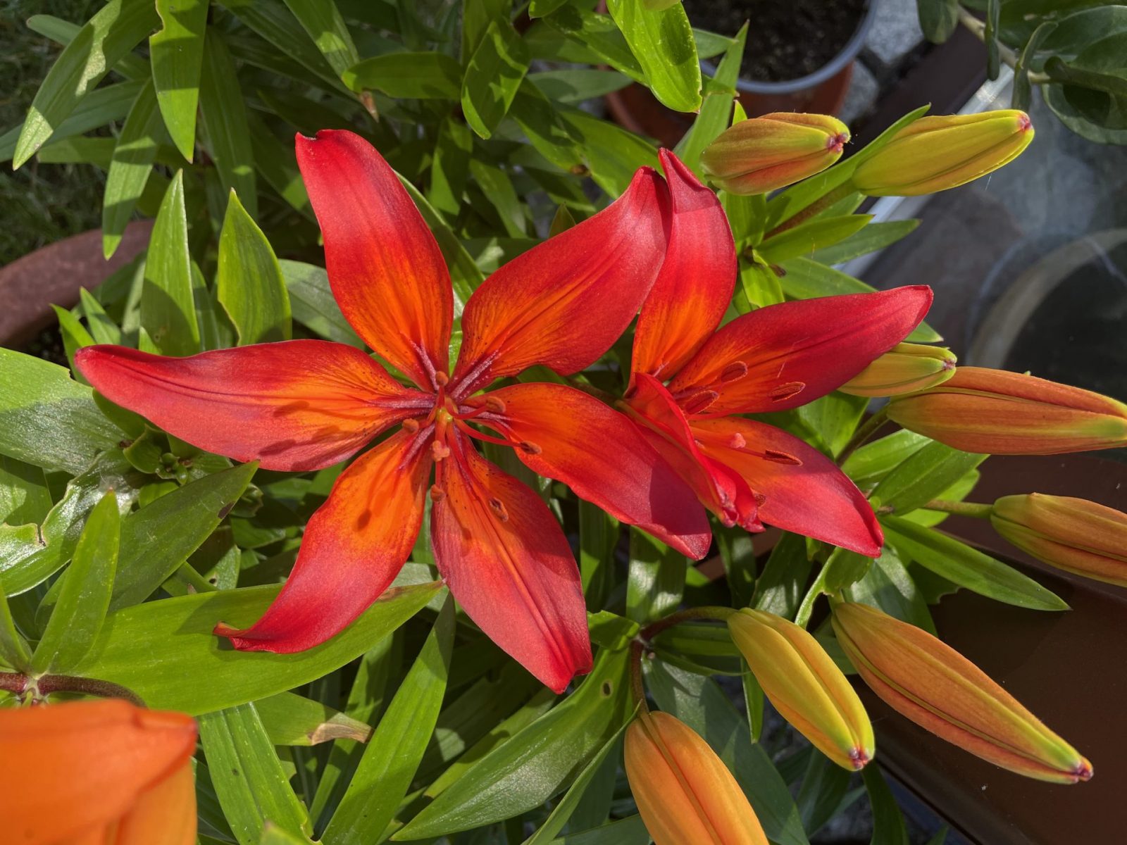 D2CC6998-B795-4BE9-AF8D-567750C4B146