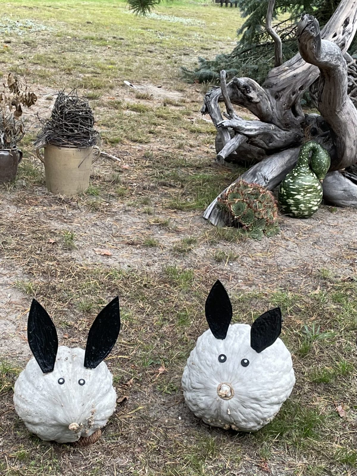 D2CDF860-2AA6-4998-A3AC-15C249FF6B0F