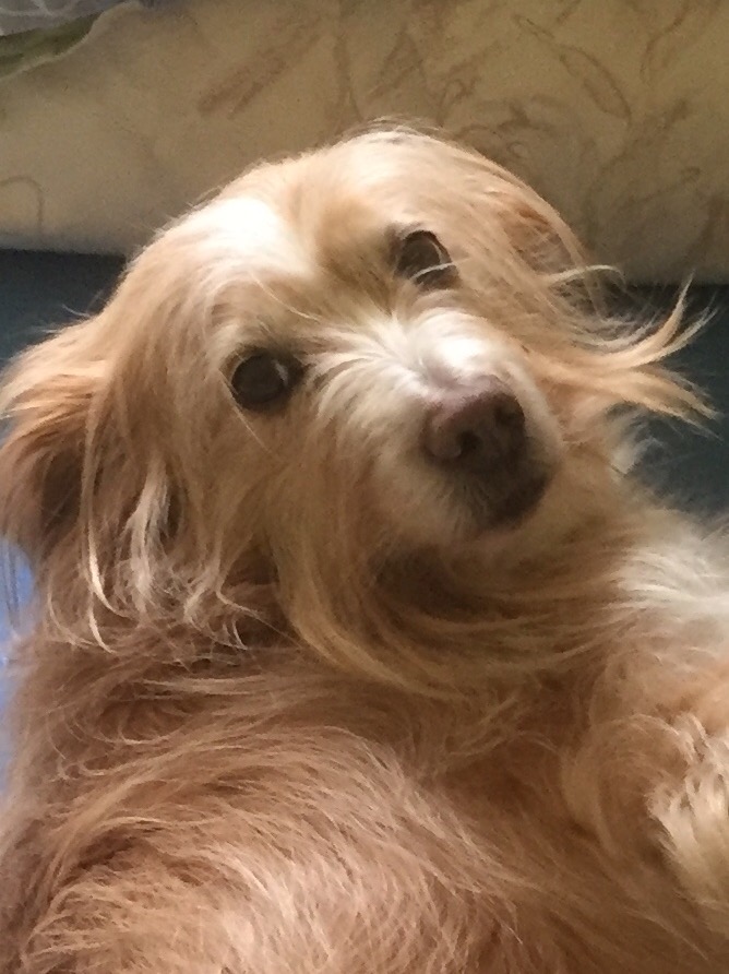 D2D61955-75E3-487D-BA54-02859157490B