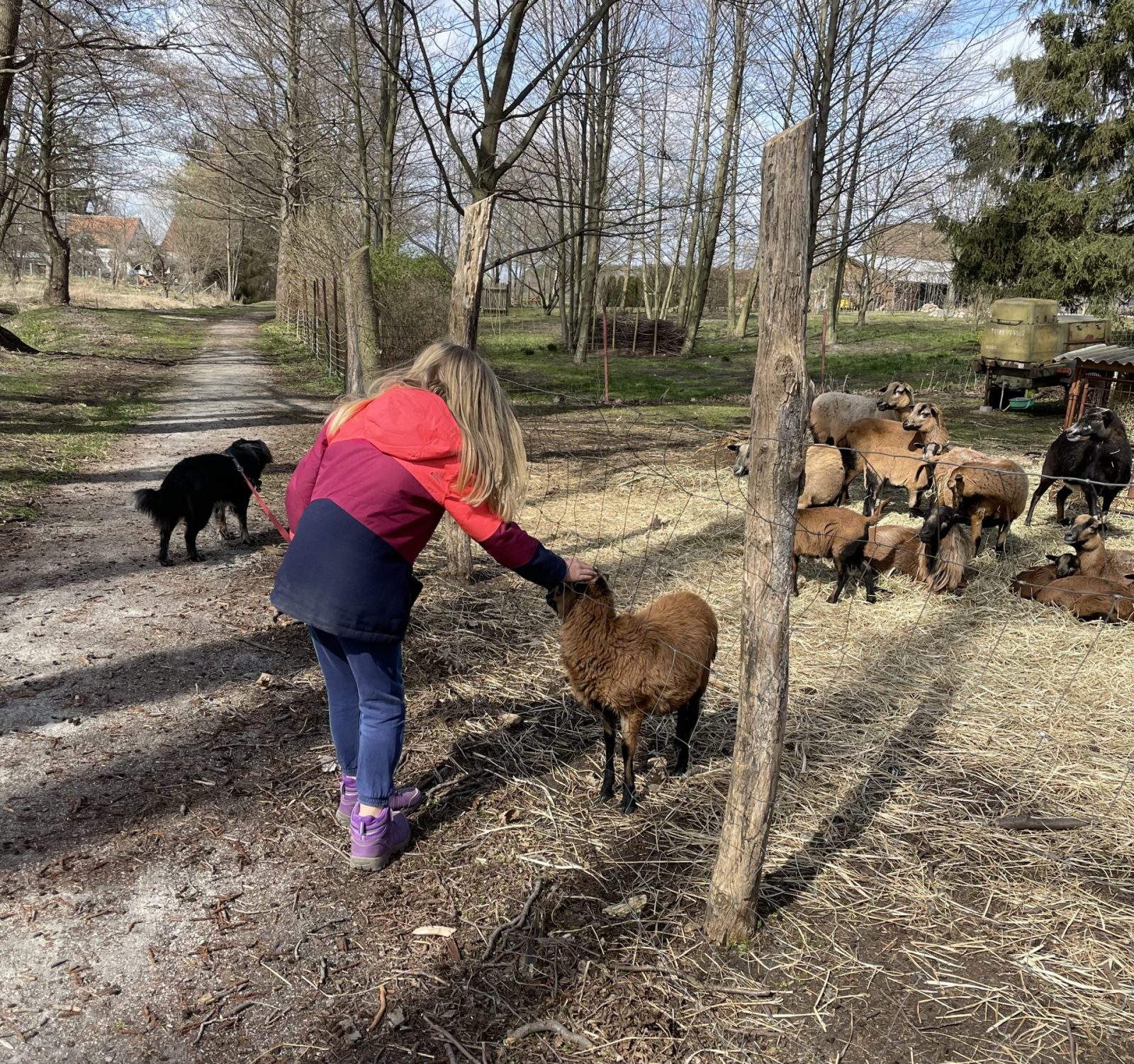 D2DE1457-7777-4DDC-A14F-608AD15E6822