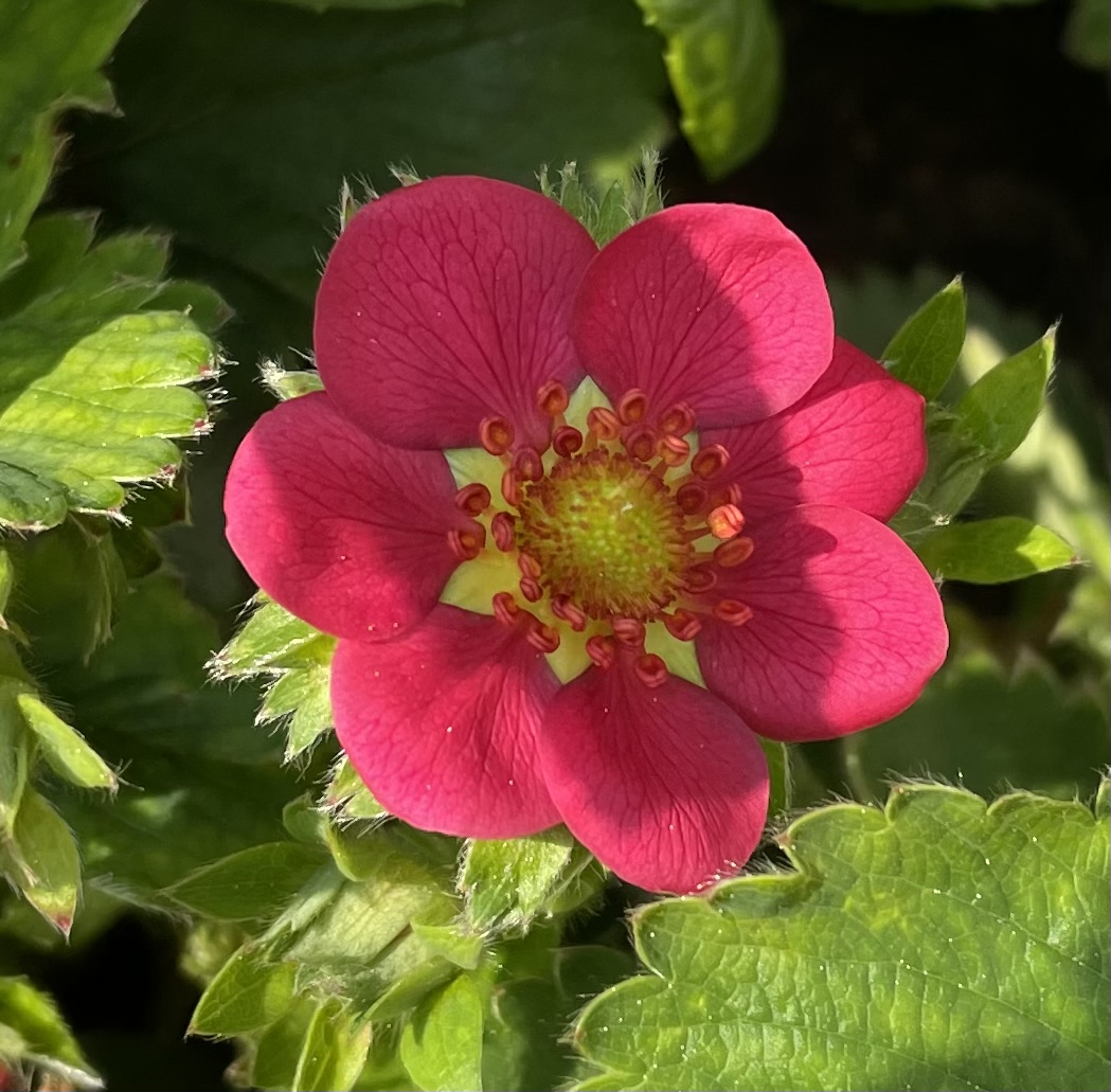 D2E10C13-F628-4A0F-A5E0-39D8F671646E