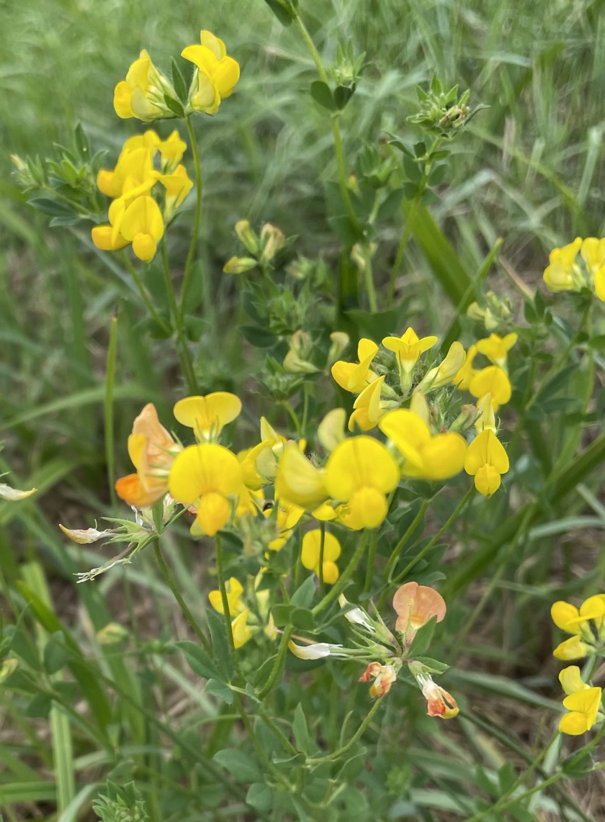 D319C37F-3F5E-40CD-87E1-4AF62F00B46C