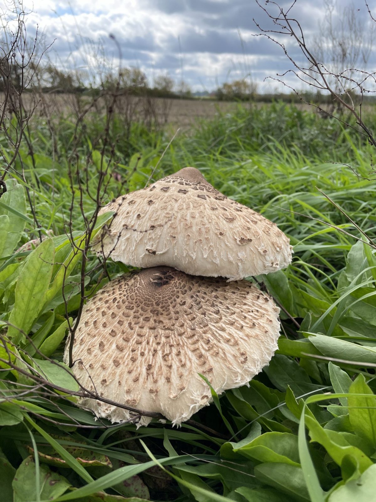 D3583586-1EDC-48FF-B829-98F8E27459AC