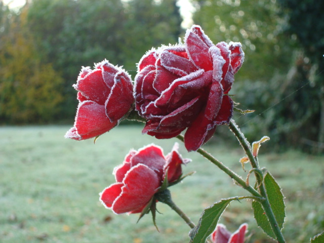 D35F4E9D-BEE0-4985-862D-C0E6600C0C9C