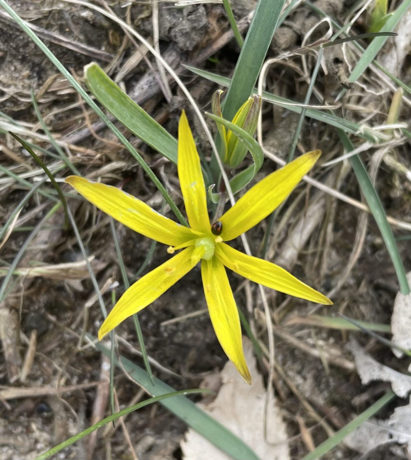 D3606DAA-D28A-46E7-8959-94DDC9596F4B