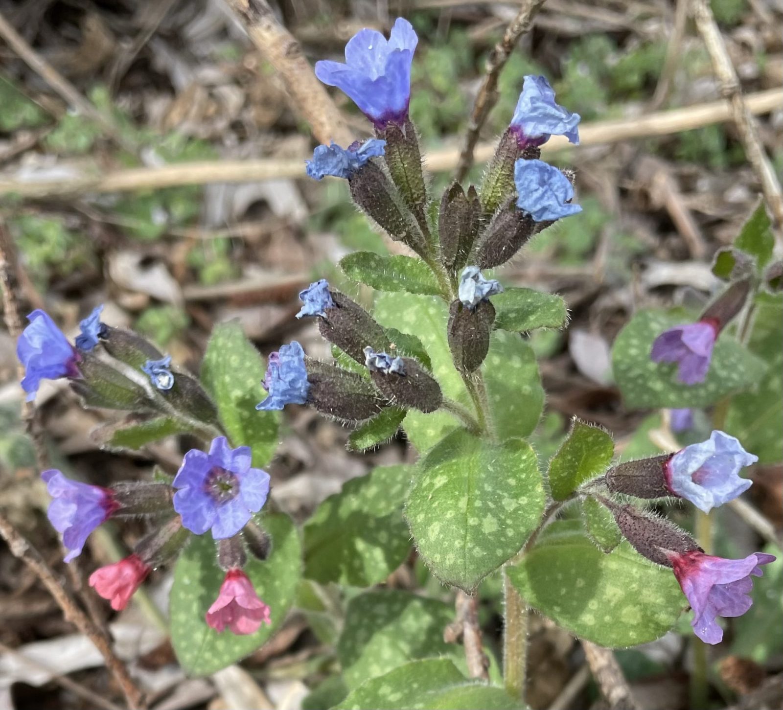 D3629954-0B73-455D-BC3A-BB56259B5109