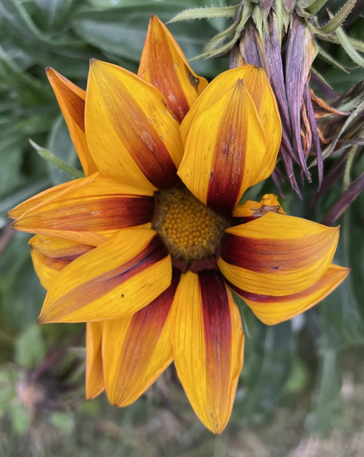 D3C3B883-25F3-4EE6-AB89-5B390CEB48A2