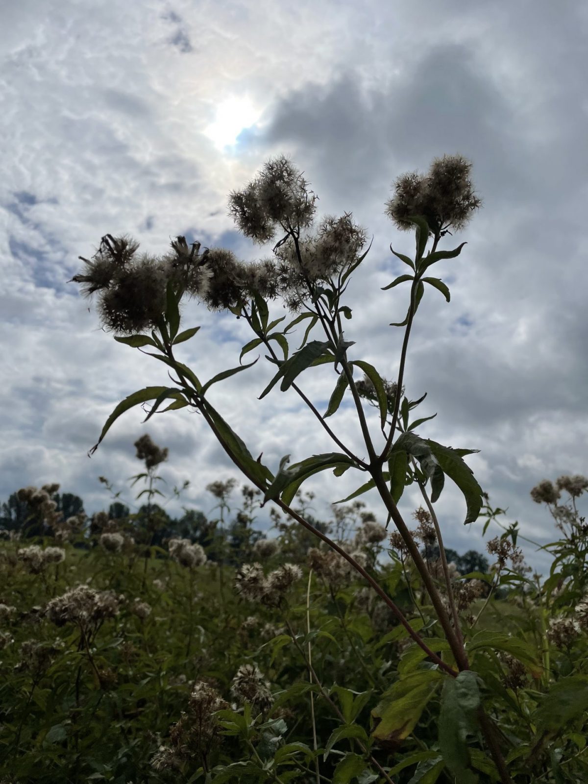 D3EE4D27-ED9B-4414-B3F7-D85F6B62E4BC