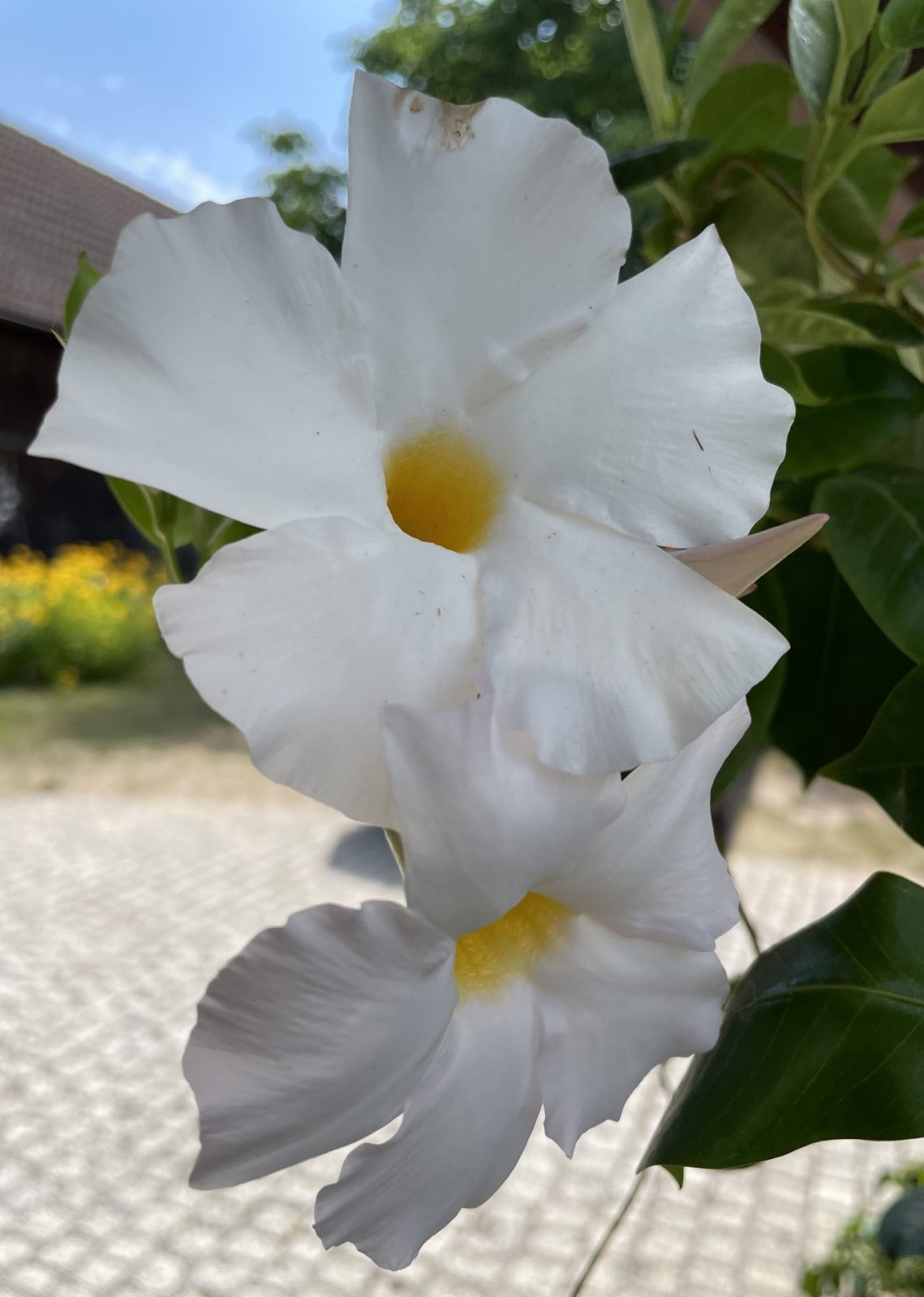 D40B02B8-9D0F-4987-959F-C604967856BB