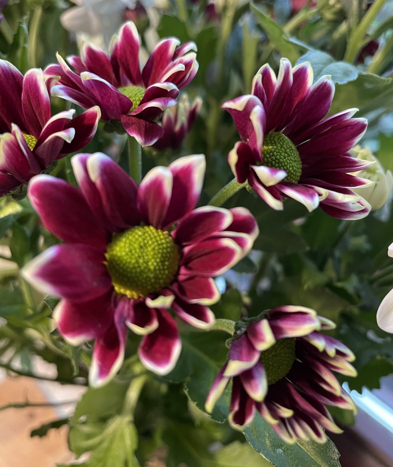 D43C4363-BE1D-4FDB-975B-0B1B48DA6BED