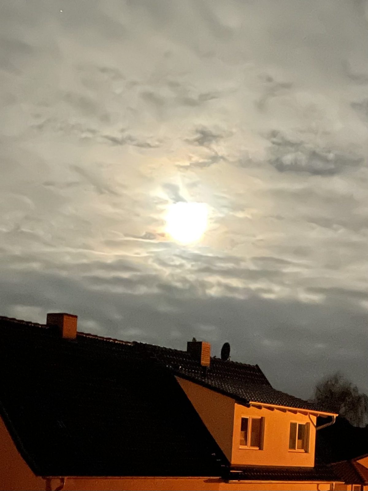 D4C62531-29E8-4A1C-8D93-8865F762C926