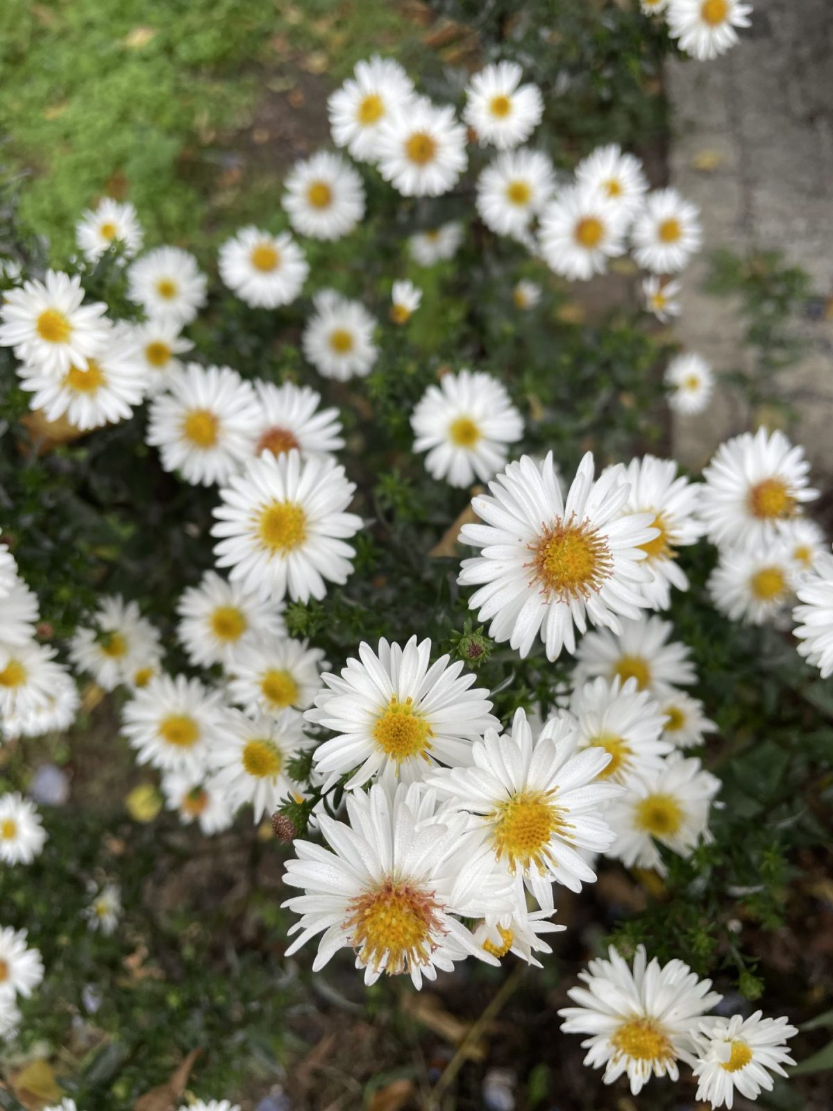 D593FE68-8930-492F-ADE9-8023162CB87F