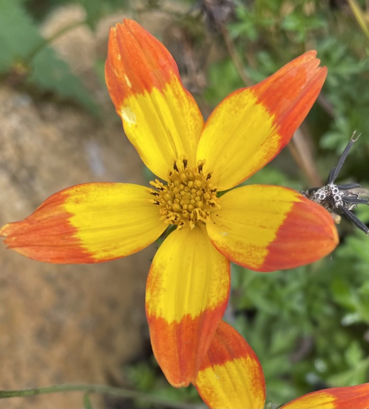 D5F0418F-C8EE-4618-8A81-46570691F893