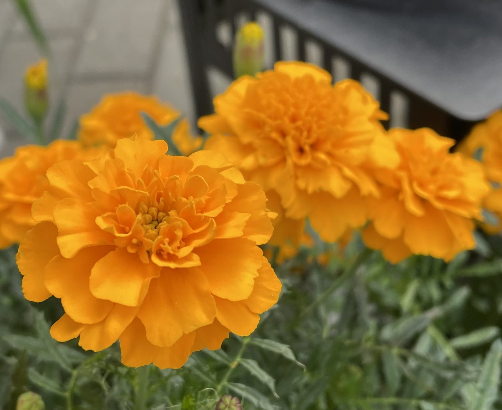 D6103C8F-4501-479F-BB0F-DBA2840ED886