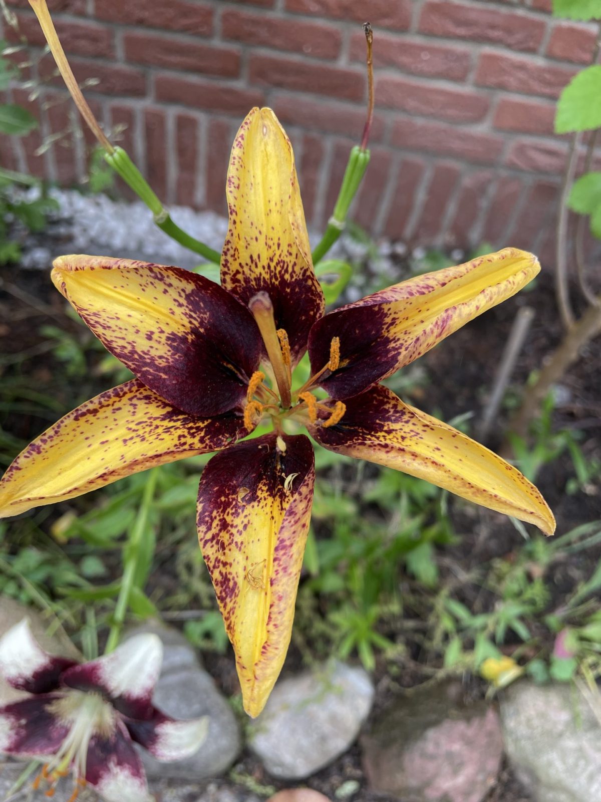 D65B7E33-5A37-4F9E-B6B9-171AEEF637CD