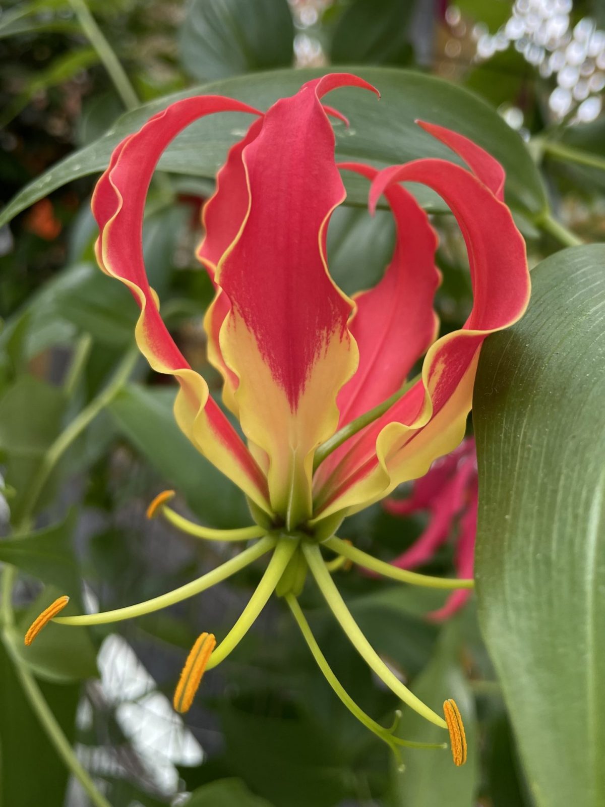 D6B624A2-190A-4862-95E0-94284C0C095F